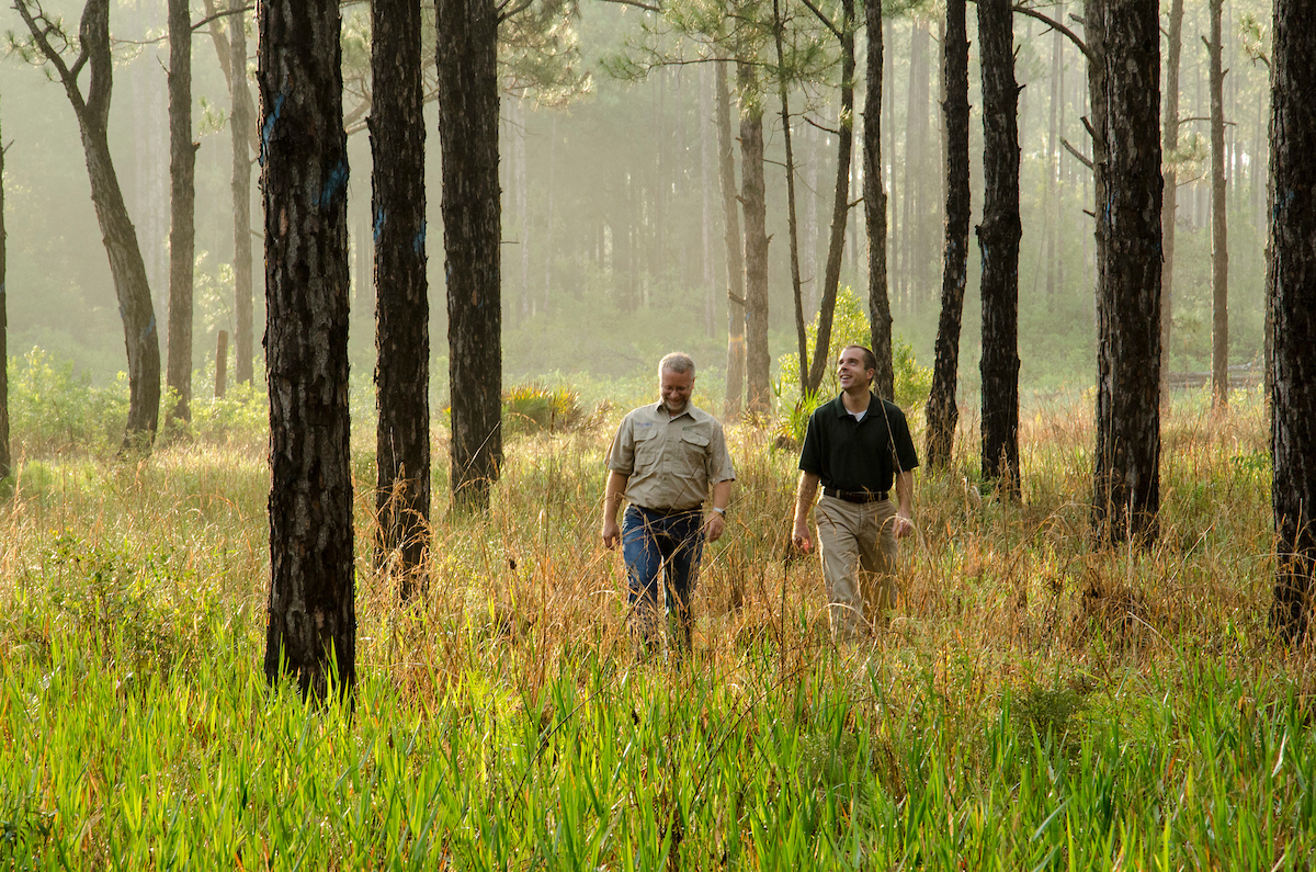 Two males walking in forest.