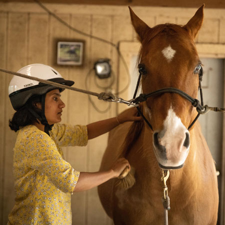 How a horse whisperer can help engineers build better robots
