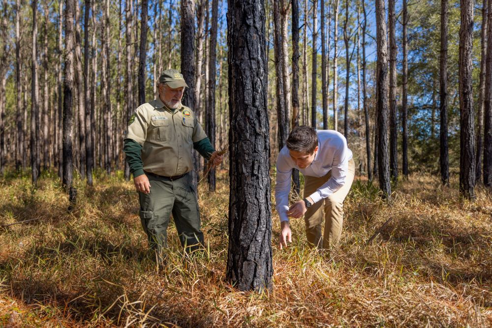 a forest ranger and man looking at brush at base of tree in forest