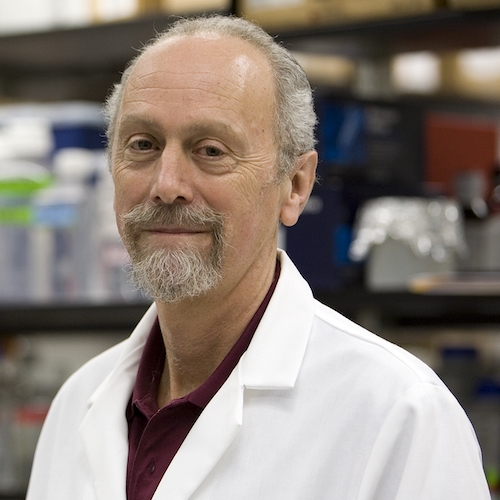 A headshot of a male faculty member wearing a white coat.