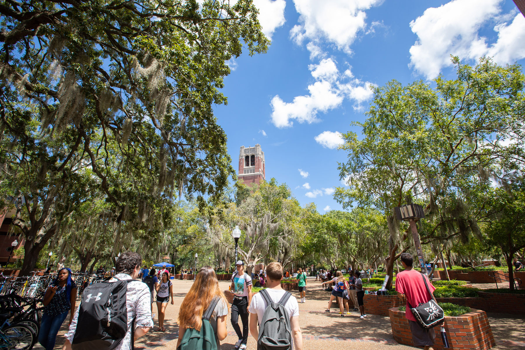 Students walking to and from class on campus