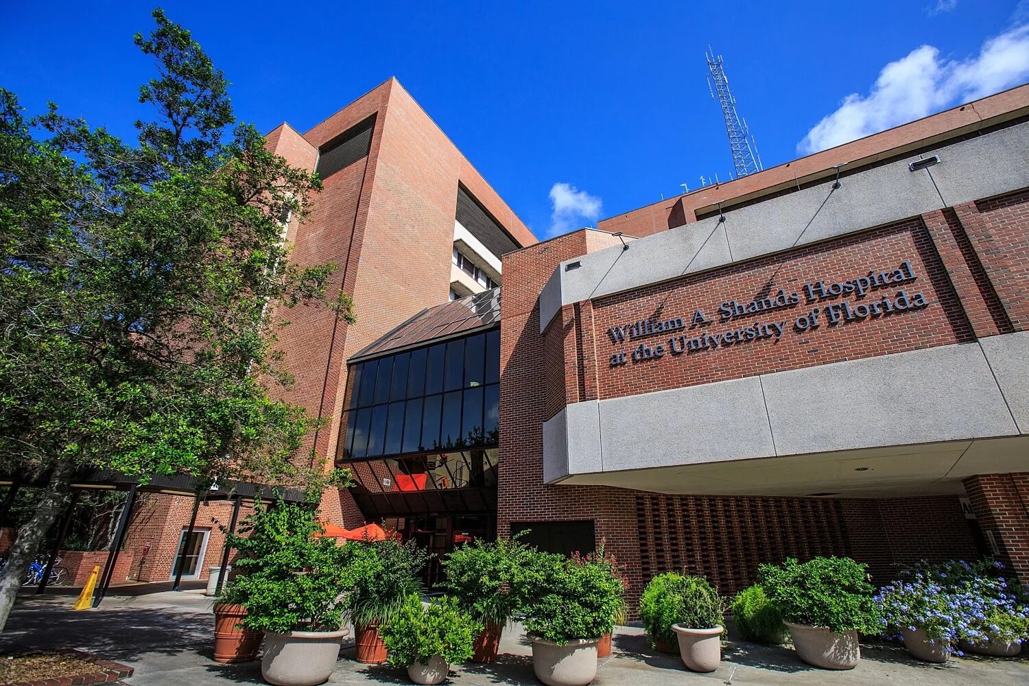 The William A Shands Hospital entrance