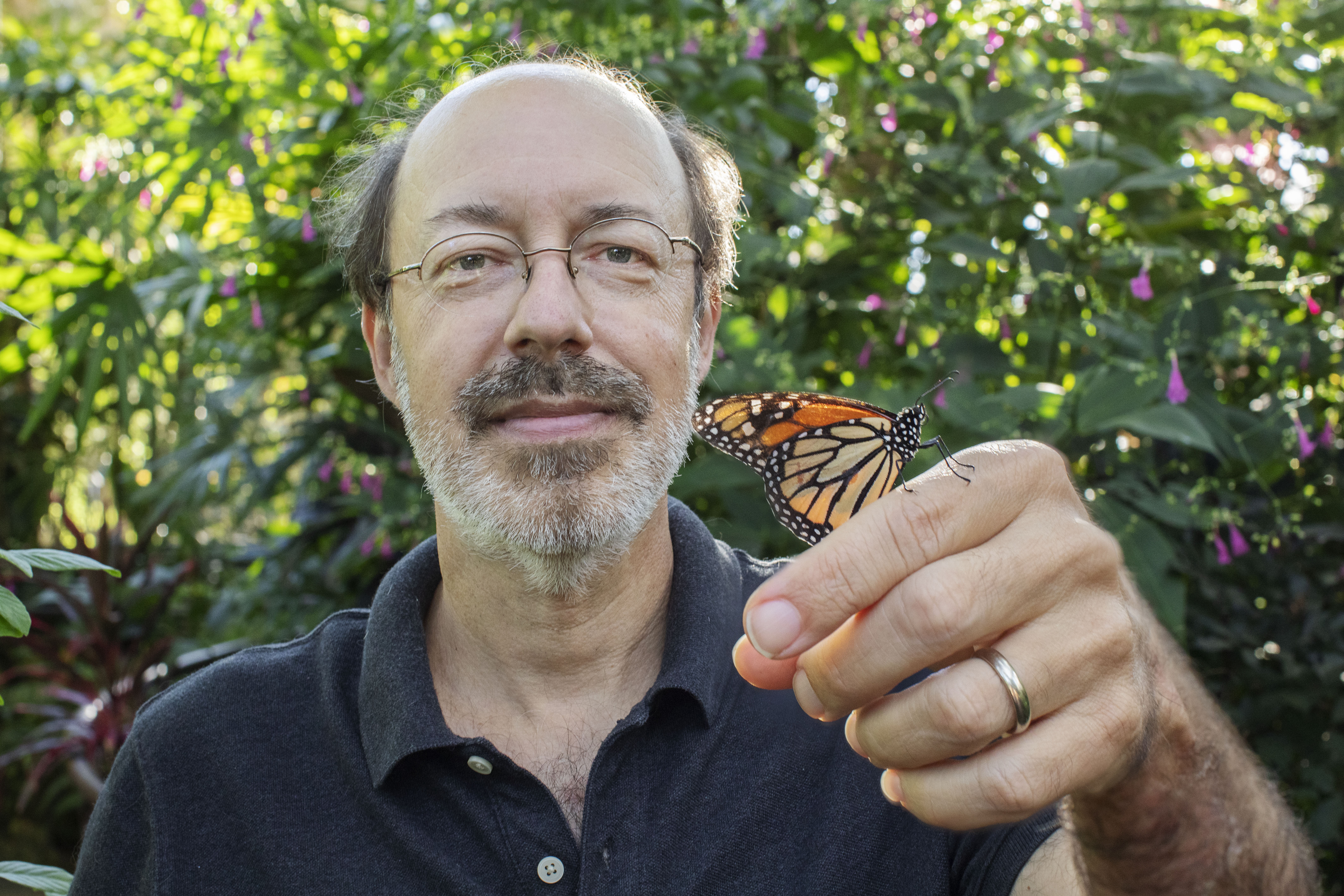 An image of a man wearing glasses and holding a butterfly.