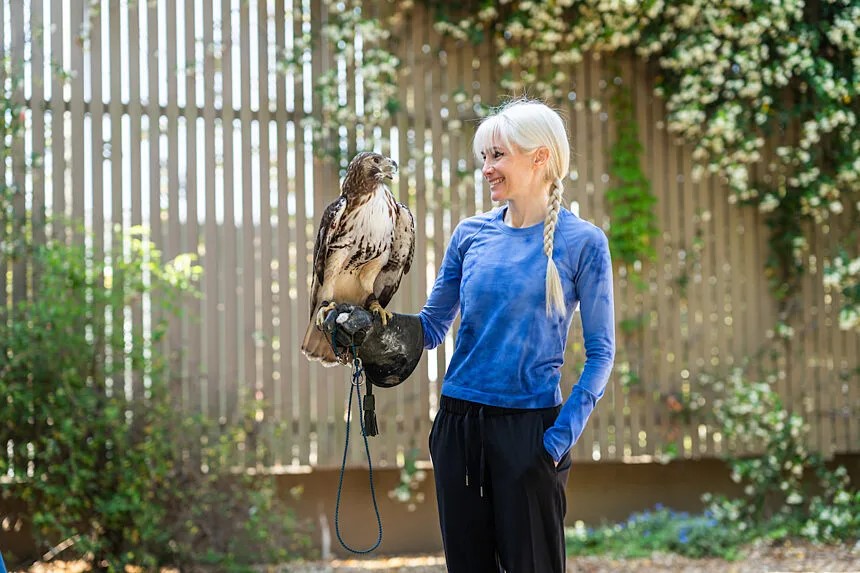 Dr. Emma Schachner is shown with a red-tailed hawk at UF's College of Veterinary Medicine.