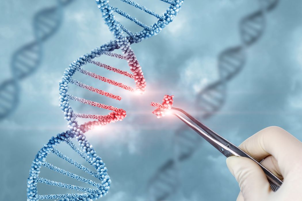 A gloved hand uses tweezers to insert a fragment of DNA into a DNA helix