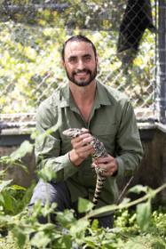 researcher holds a tegu lizard in both hands