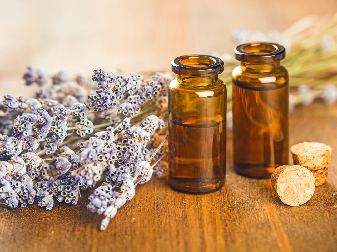 A sprig of lavender next to two small glass vials