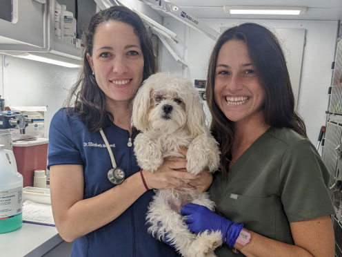 Dr. Elizabeth Maxwell, a surgical oncologist at the UF College of Veterinary Medicine and a UF VETS volunteer, and Jordan Sullivan (UFCVM Class of 2025) are shown holding Casper, who was bitten by another dog in the aftermath of Hurricane Ian. Team doctors treated him daily for a period of time, and Casper responded well. His owners were relieved to see him returning to his normal playful self.