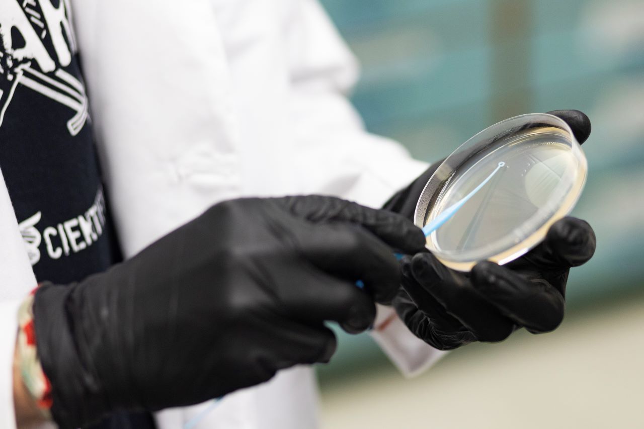 close up of Petrie dish and scientist's hand