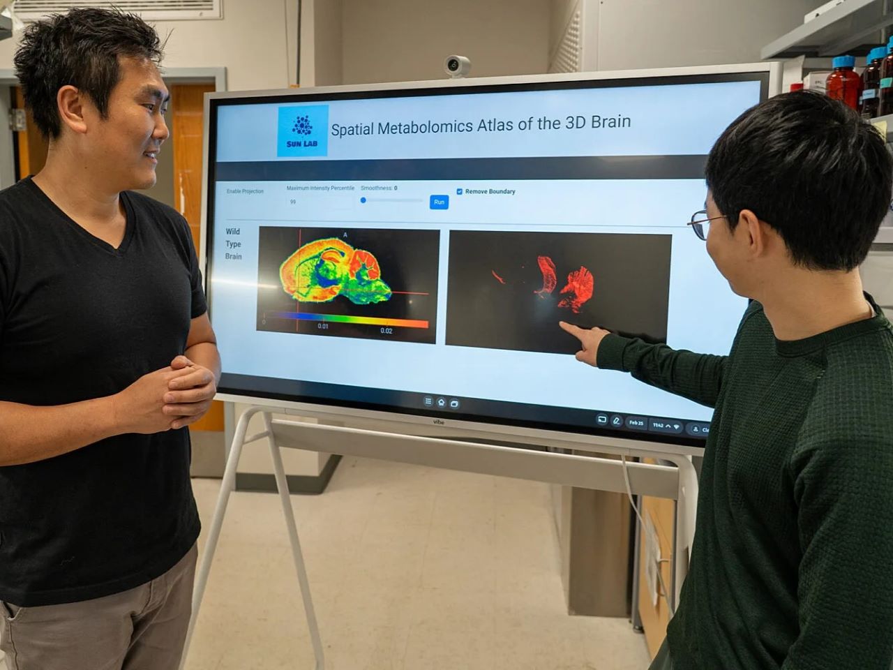 Two researchers point at a large screen displaying a colored illustration of a mouse brain