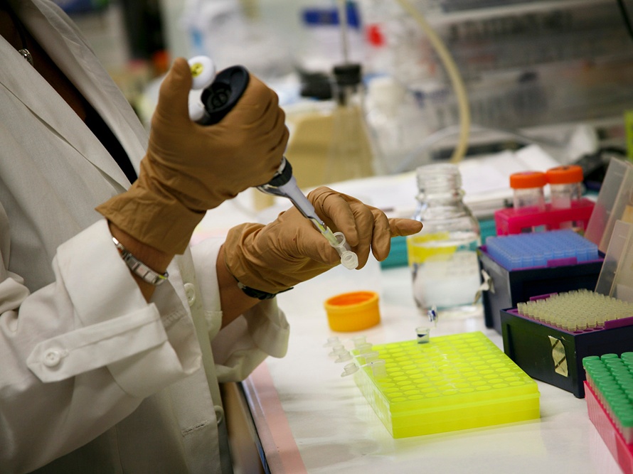 Gloves hands manipulate a pipette over a laboratory bench