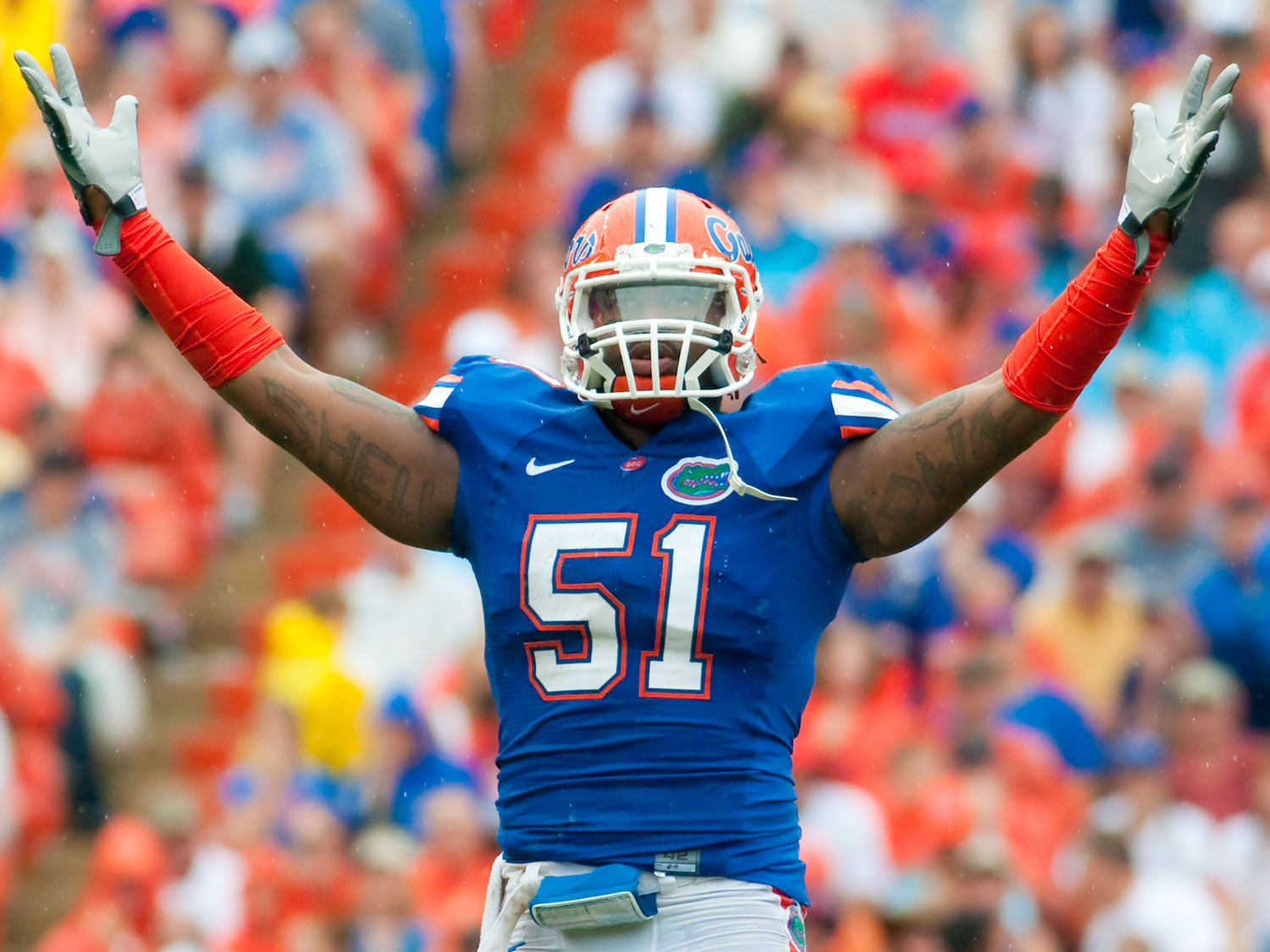 Brandon Spikes