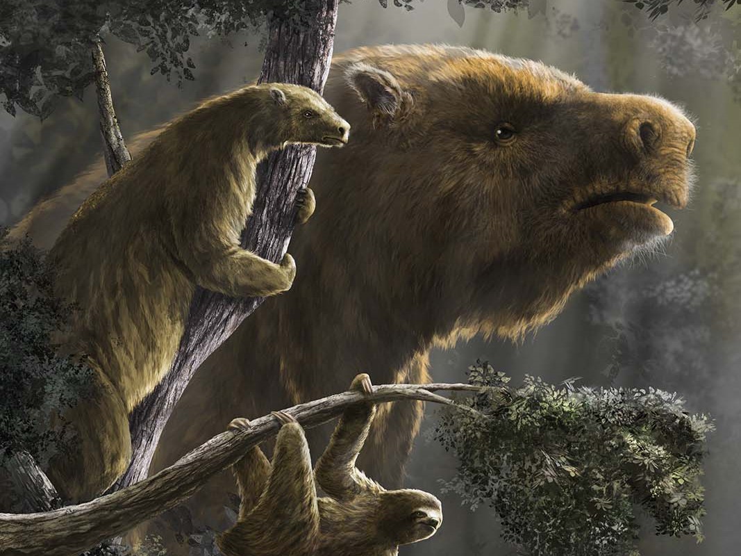 An illustration of giant sloths in a forest