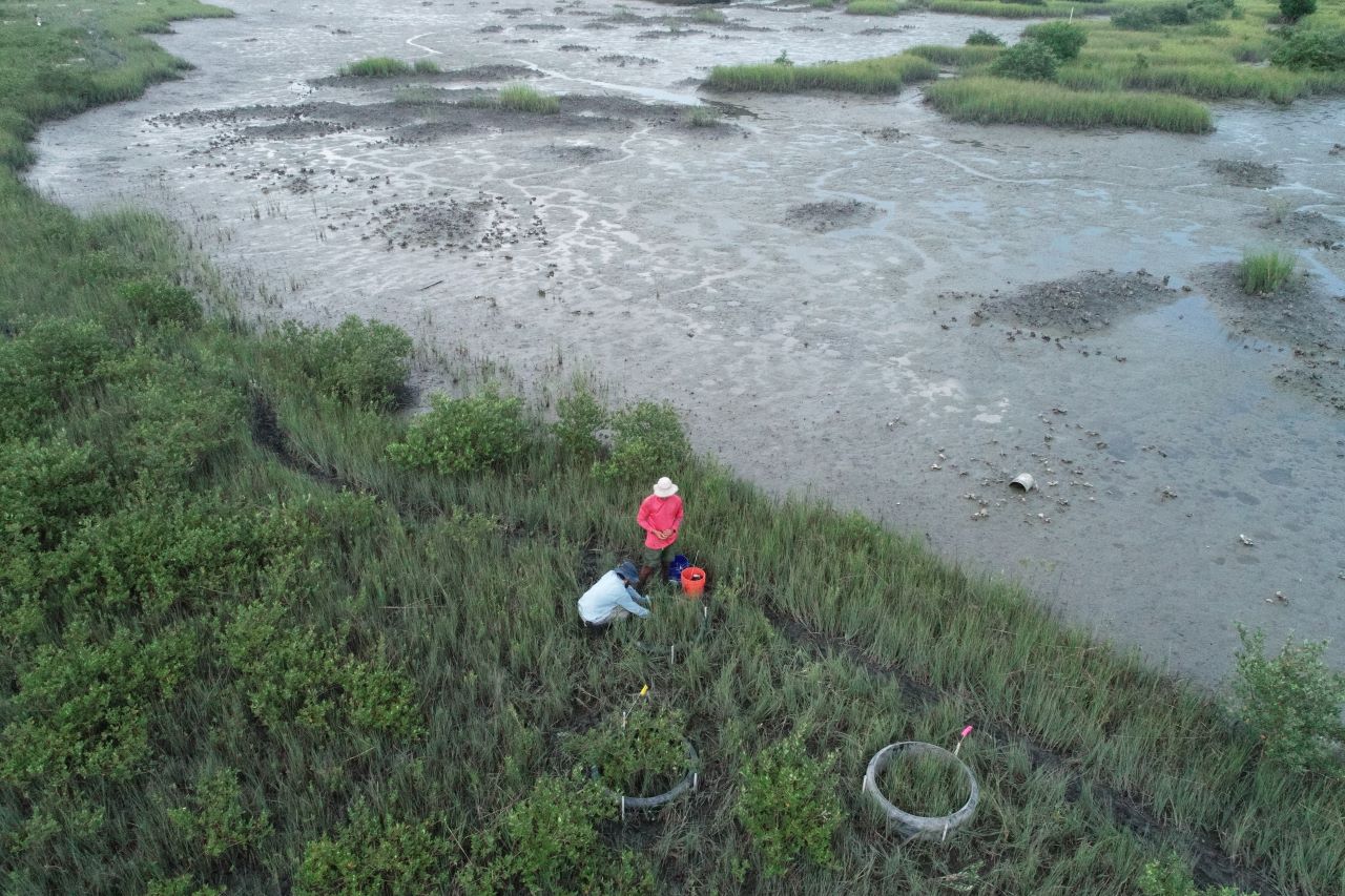 An aerial view of two scientists working on a grassy shore