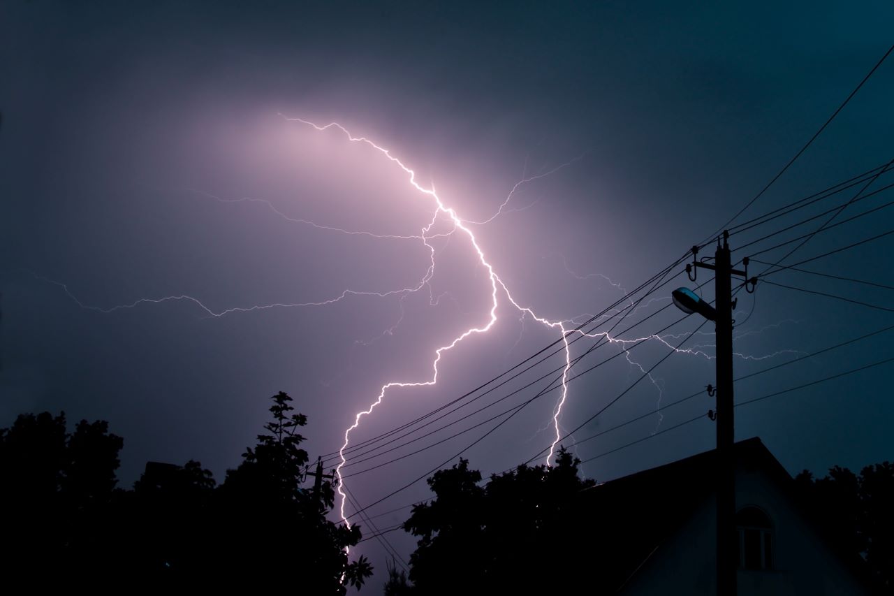 lightning strikes the top of a tree line