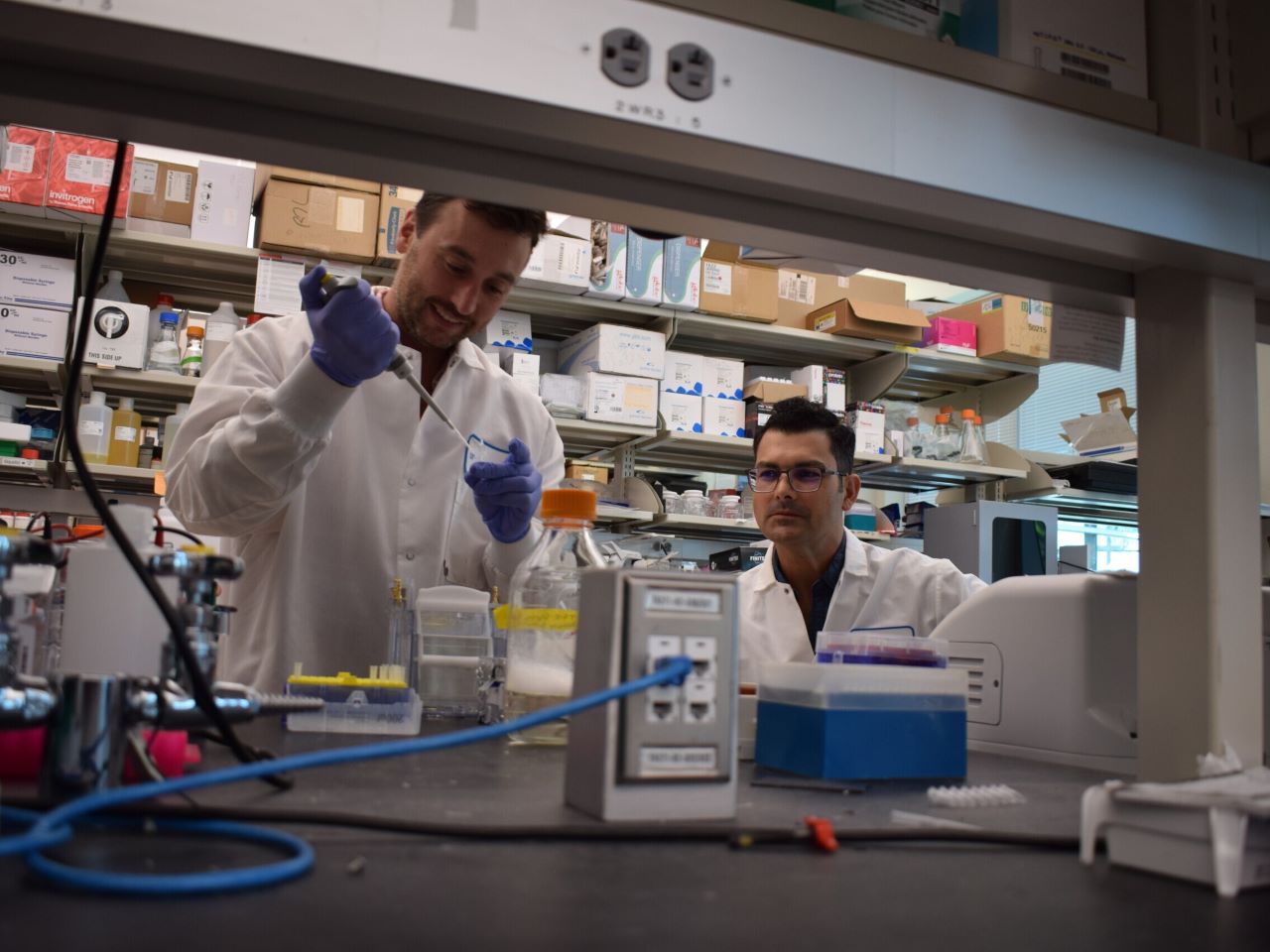 Two researchers at a lab bench