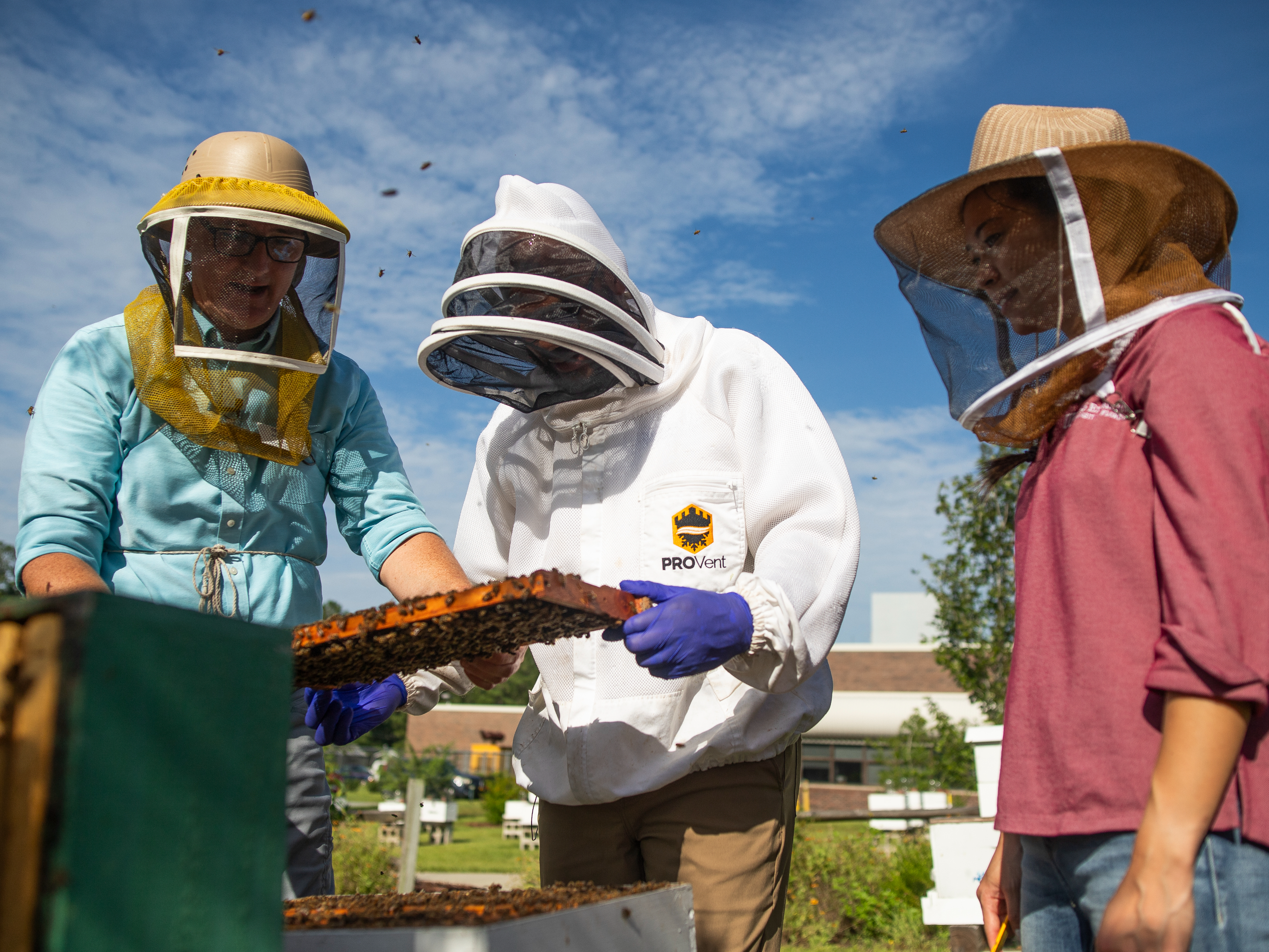 Jamie Ellis (left), Andra Johnson (center), and Amy Vu (right) at the UF/IFAS Honey Bee Research and Extension Laboratory.