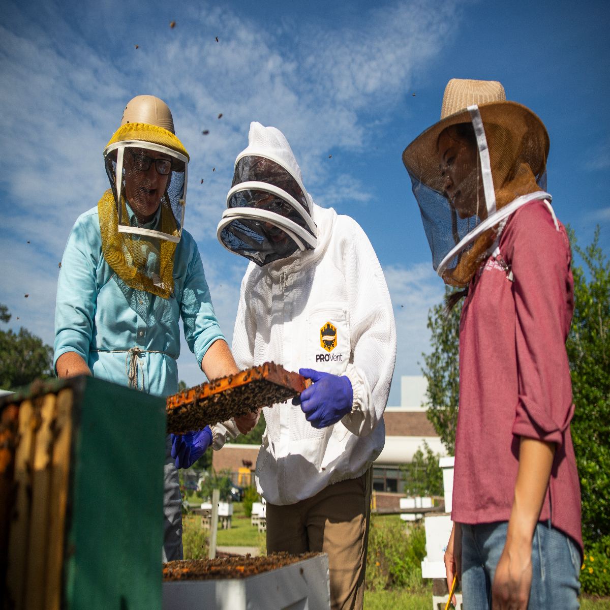 Jamie Ellis (left), Andra Johnson (center), and Amy Vu (right) at the UF/IFAS Honey