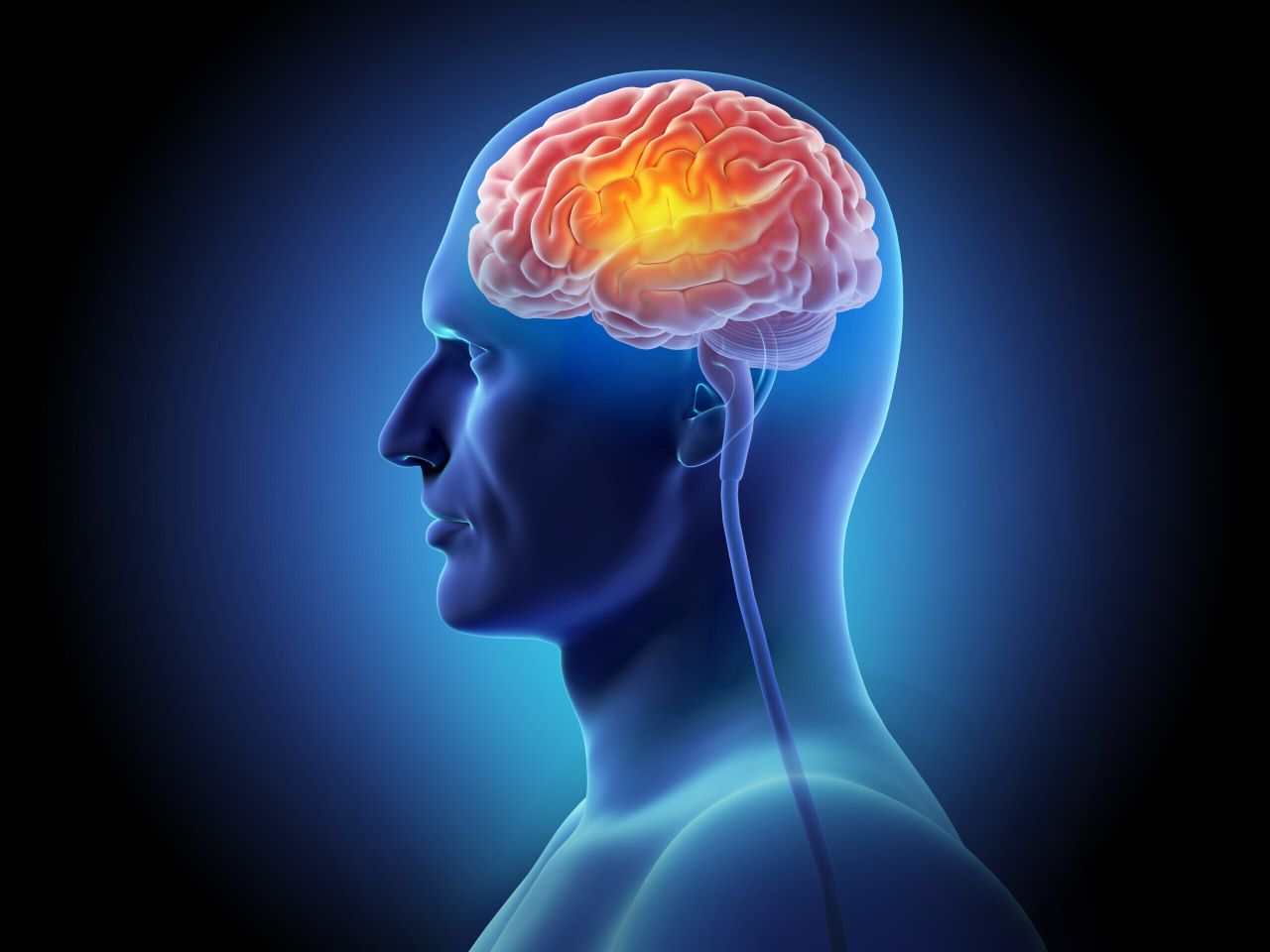 An illustration of a man's brain illuminated in orange inside a blue tinted head