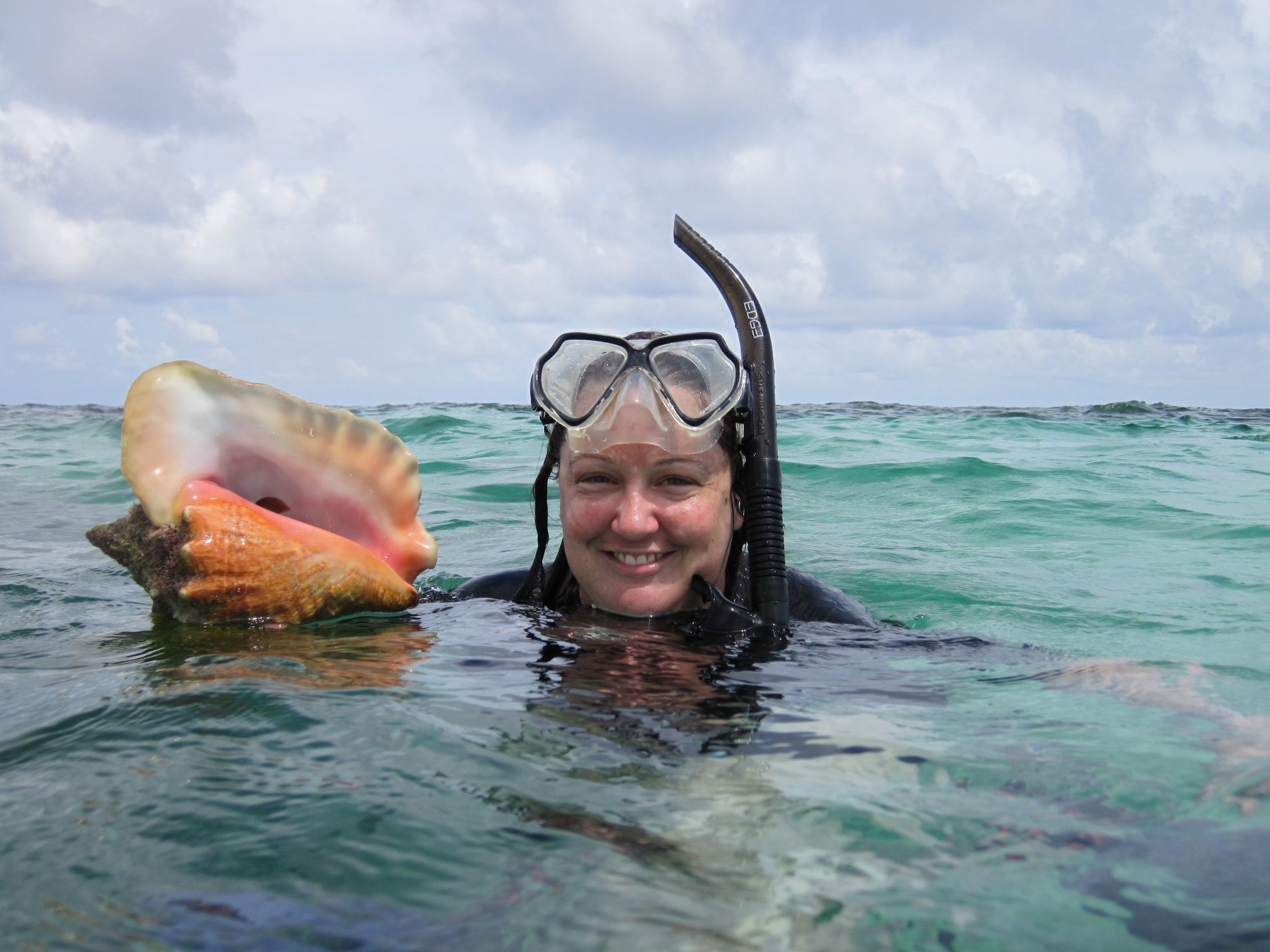 Carrie Tyler and her colleagues collected living and dead specimens from several locations off the coast of North Carolina for this and other studies. PHOTO COURTESY OF CARRIE TYLER