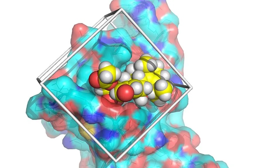 A colorful illustration of an enzyme attached to a chemical structure made up of differently colored spheres