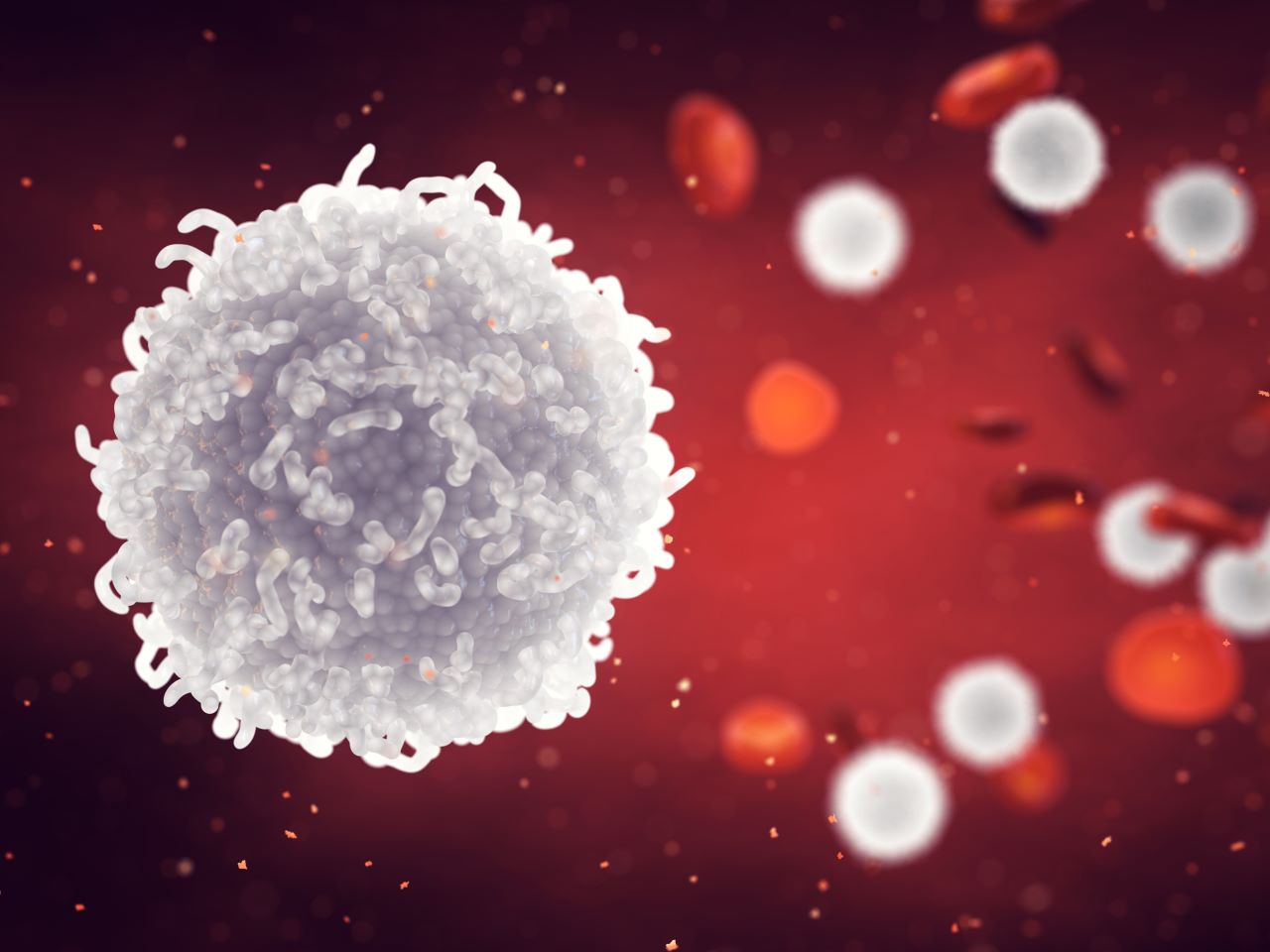 A depiction of several types of blood cells in an artery