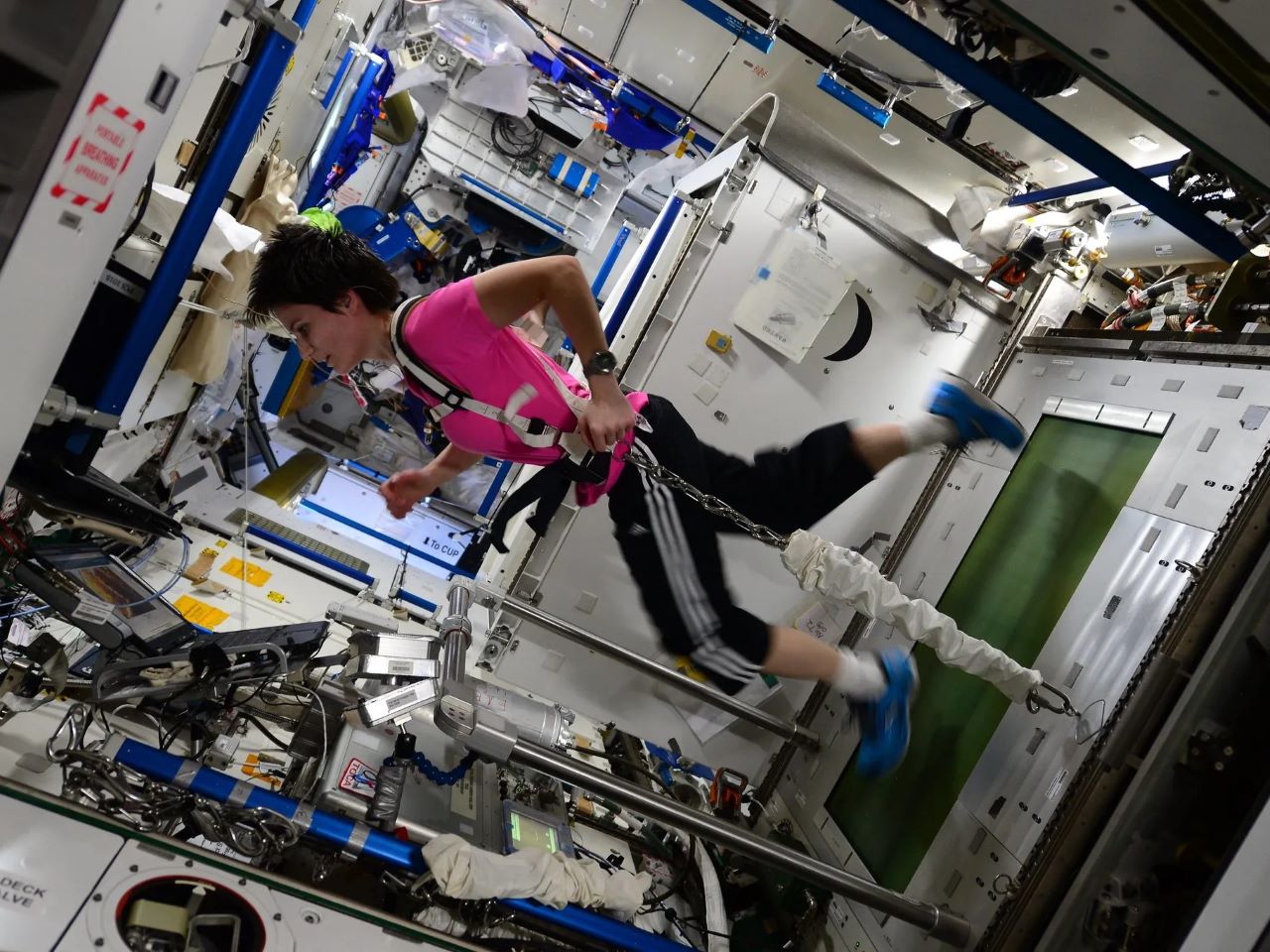 A female astronaut runs on a specialized treadmill on the International Space Station