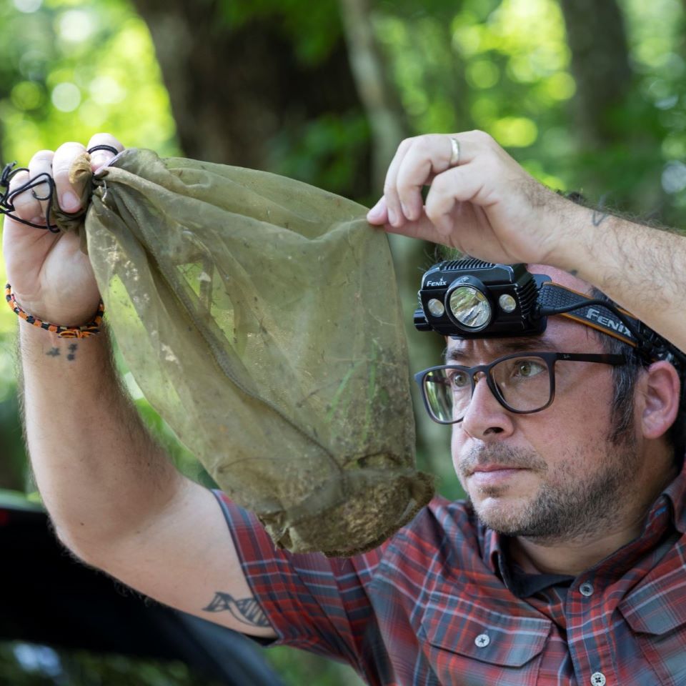 Lawrence Reeves inspects netting for trapped mosquitoes