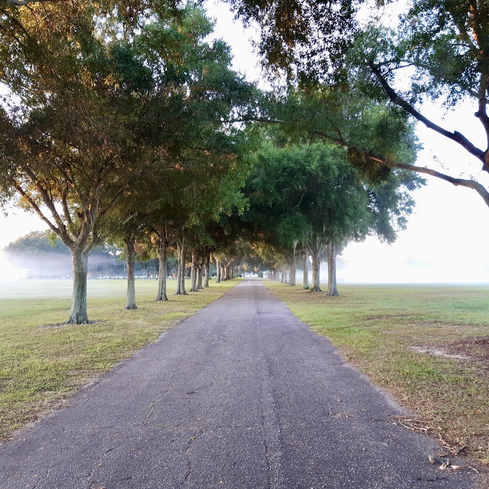 Courtesy of the city of Tavares.