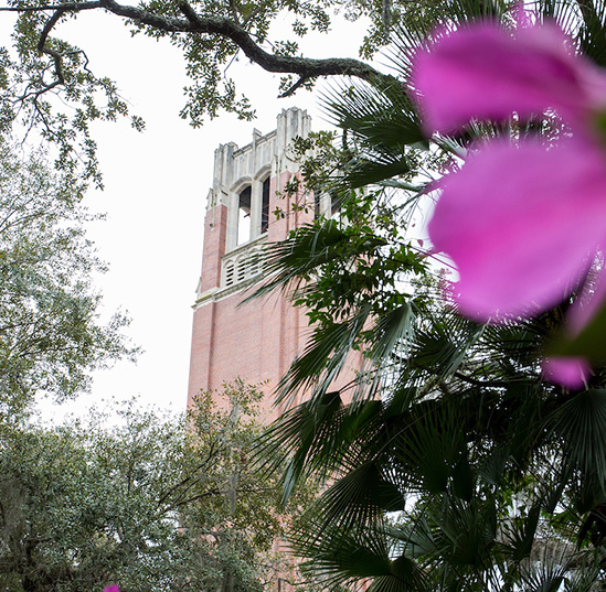 A photo of Century Tower with an azalea in front of it