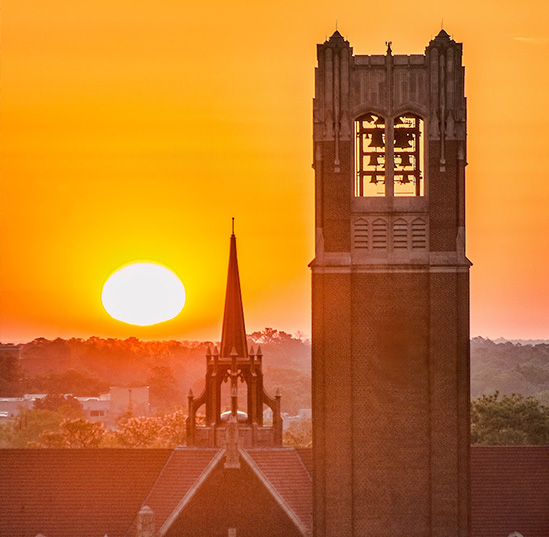 Online degrees at UF offer flexibility, authentic Gator Nation experience