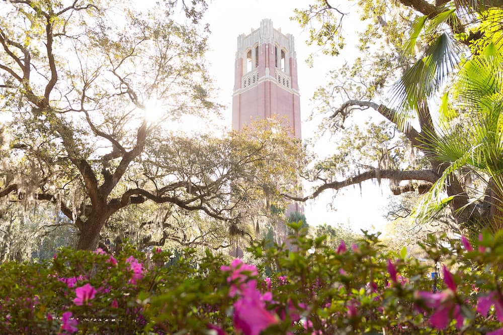 Blooming azaleas in front of Century Tower